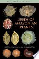 Seeds of Amazonian plants