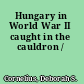 Hungary in World War II caught in the cauldron /