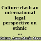 Culture clash an international legal perspective on ethnic discrimination /