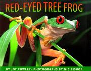 Red-eyed tree frog /