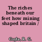 The riches beneath our feet how mining shaped britain /