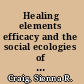 Healing elements efficacy and the social ecologies of Tibetan medicine /