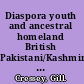 Diaspora youth and ancestral homeland British Pakistani/Kashmiri youth visiting kin in Pakistan and Kashmir /