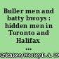 Buller men and batty bwoys : hidden men in Toronto and Halifax black communities /