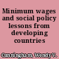 Minimum wages and social policy lessons from developing countries /