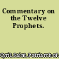 Commentary on the Twelve Prophets.