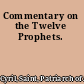 Commentary on the Twelve Prophets.