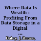 Where Data Is Wealth : Profiting From Data Storage in a Digital Society /