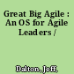 Great Big Agile : An OS for Agile Leaders /