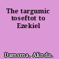The targumic toseftot to Ezekiel