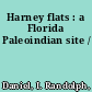 Harney flats : a Florida Paleoindian site /