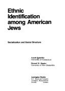 Ethnic identification among American Jews; socialization and social structure