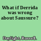 What if Derrida was wrong about Saussure?