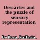 Descartes and the puzzle of sensory representation