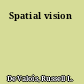 Spatial vision