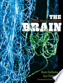 The brain big bangs, behaviors, and beliefs /