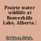 Prairie water wildlife at Beaverhills Lake, Alberta /