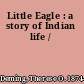 Little Eagle : a story of Indian life /