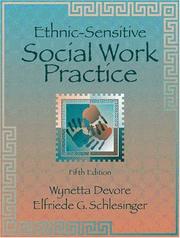 Ethnic-sensitive social work practice /