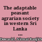 The adaptable peasant agrarian society in western Sri Lanka under Dutch rule, 1740-1800 /