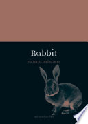 Rabbit /