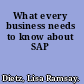 What every business needs to know about SAP