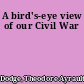 A bird's-eye view of our Civil War