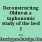 Deconstructing Olduvai a taphonomic study of the bed I sites /