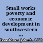 Small works poverty and economic development in southwestern China /