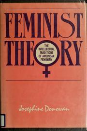 Feminist theory : the intellectual traditions of American feminism /