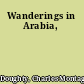 Wanderings in Arabia,