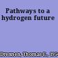 Pathways to a hydrogen future