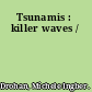 Tsunamis : killer waves /