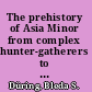 The prehistory of Asia Minor from complex hunter-gatherers to early urban socieities /