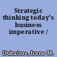 Strategic thinking today's business imperative /