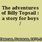 The adventures of Billy Topsail : a story for boys /
