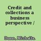 Credit and collections a business perspective /