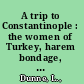 A trip to Constantinople : the women of Turkey, harem bondage, and Miss Nightingale at Scutari Hospital /