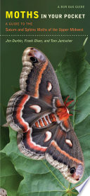 Moths in your pocket : a guide to the saturn and sphinx moths of the upper Midwest /