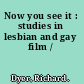 Now you see it : studies in lesbian and gay film /