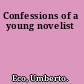 Confessions of a young novelist