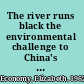 The river runs black the environmental challenge to China's future /