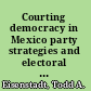 Courting democracy in Mexico party strategies and electoral institutions /