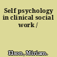 Self psychology in clinical social work /