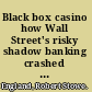 Black box casino how Wall Street's risky shadow banking crashed global finance /