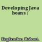 Developing Java beans /