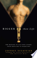 Bigger than life the history of gay porn cinema from Beefcake to Hardcore /