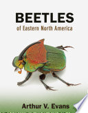 Beetles of eastern North America /