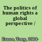 The politics of human rights a global perspective /
