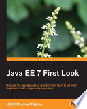 Java EE 7 first look /